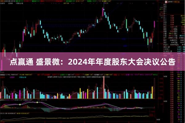 点赢通 盛景微：2024年年度股东大会决议公告