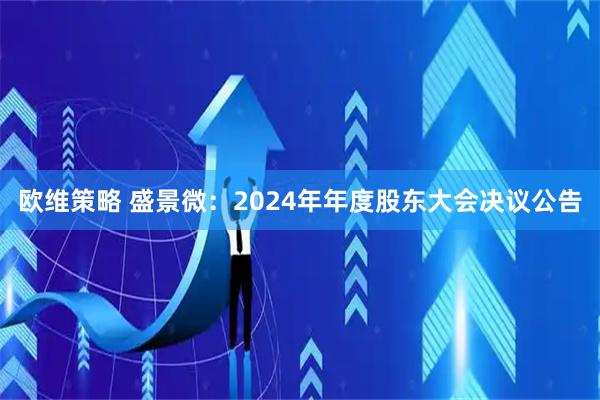 欧维策略 盛景微：2024年年度股东大会决议公告