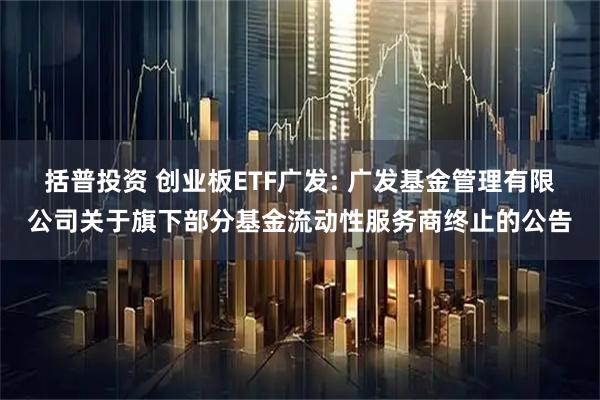 括普投资 创业板ETF广发: 广发基金管理有限公司关于旗下部分基金流动性服务商终止的公告