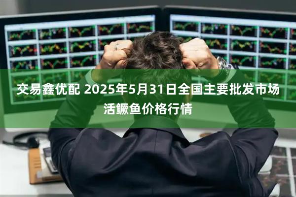 交易鑫优配 2025年5月31日全国主要批发市场活鳜鱼价格行情
