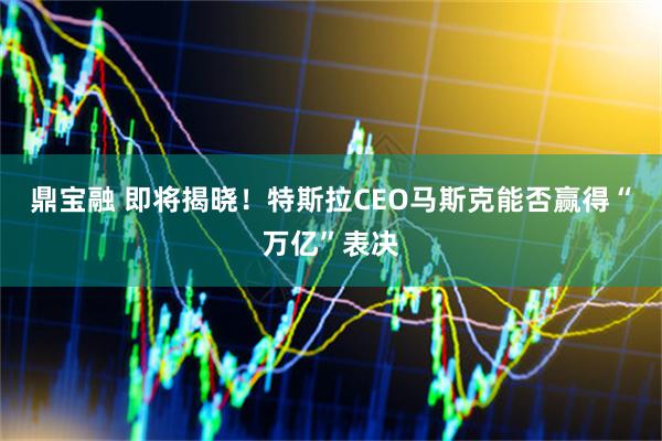 鼎宝融 即将揭晓！特斯拉CEO马斯克能否赢得“万亿”表决