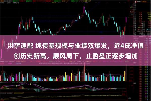 洪萨速配 纯债基规模与业绩双爆发，近4成净值创历史新高，顺风局下，止盈盘正逐步增加